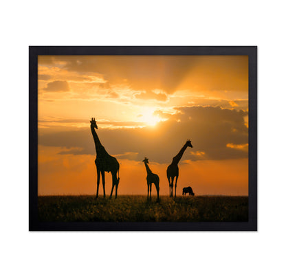 Golden Africa
