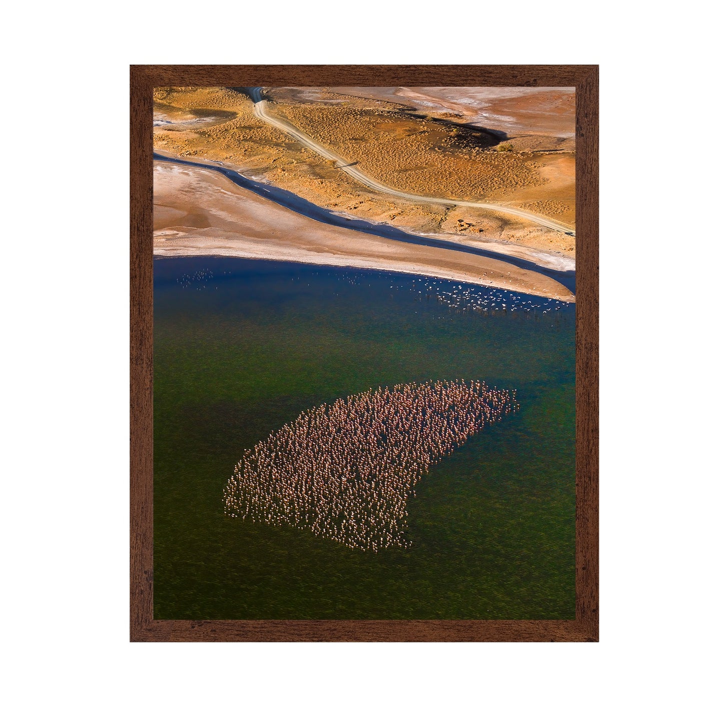 Flamingos on the Lake