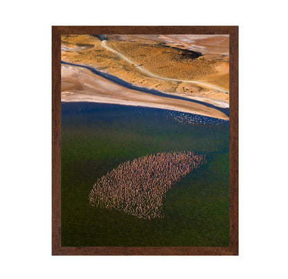 Flamingos on the Lake