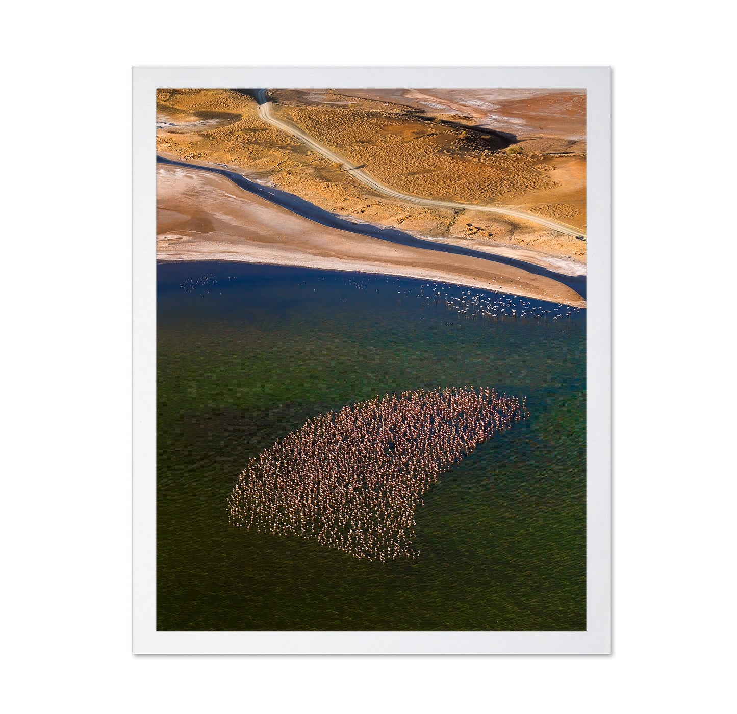 Flamingos on the Lake
