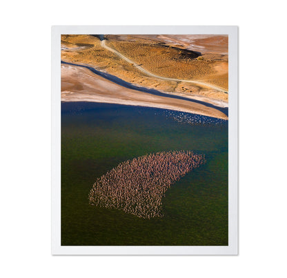 Flamingos on the Lake