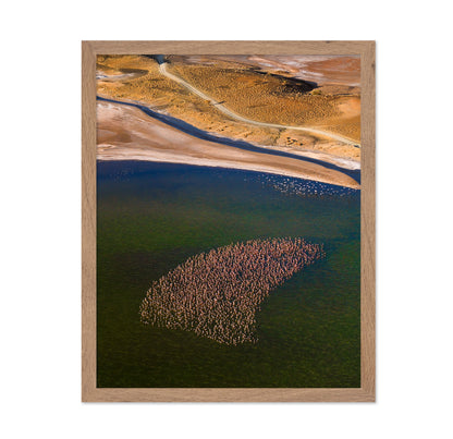 Flamingos on the Lake