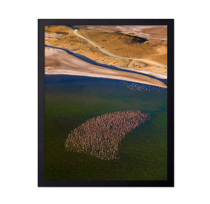 Flamingos on the Lake