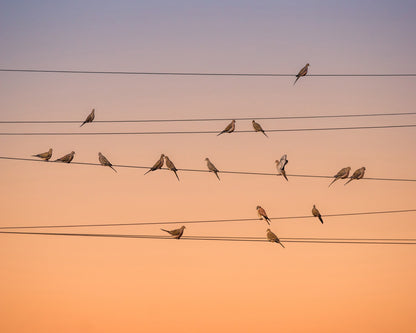 Music of Light
