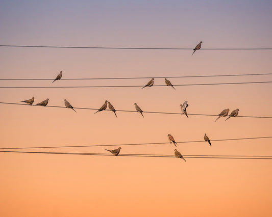 Music of Light