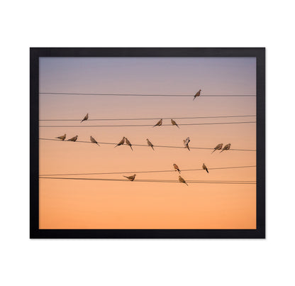Music of Light