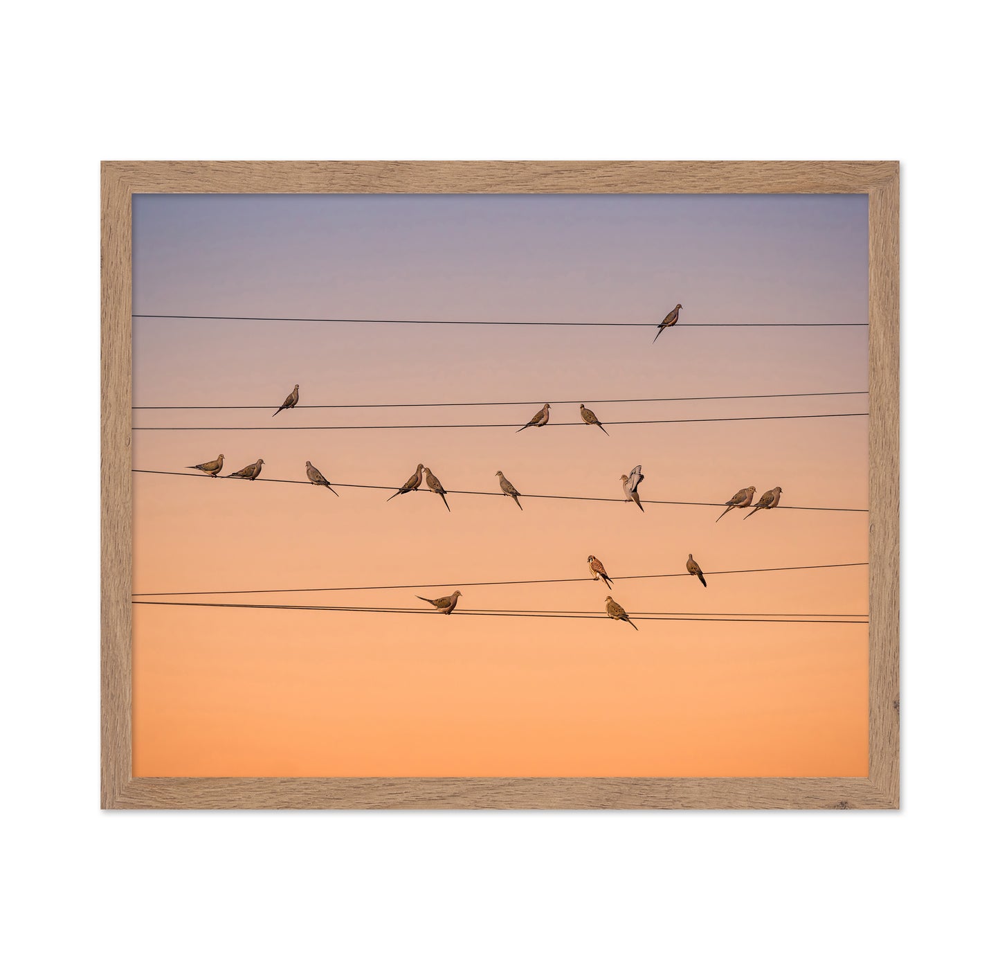 Music of Light