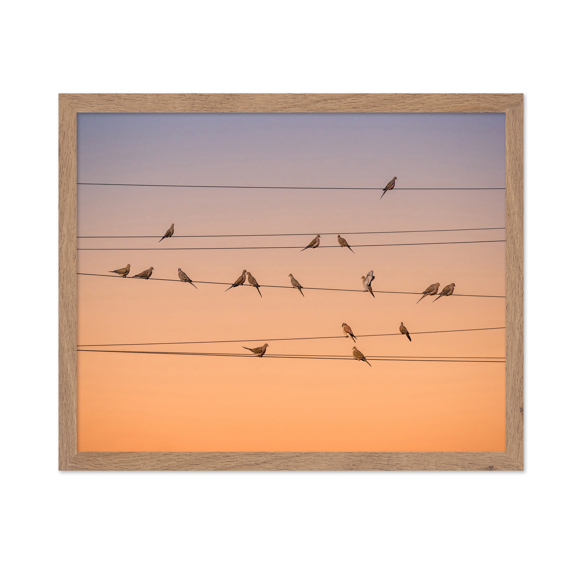 Music of Light