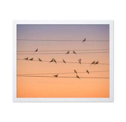 Music of Light