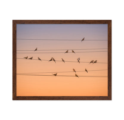 Music of Light