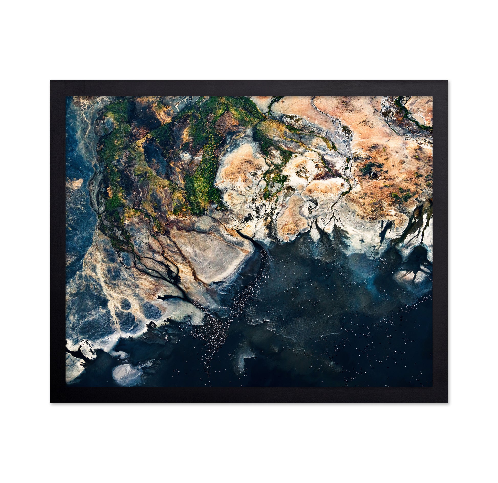 Abstract Coastal Lagoon