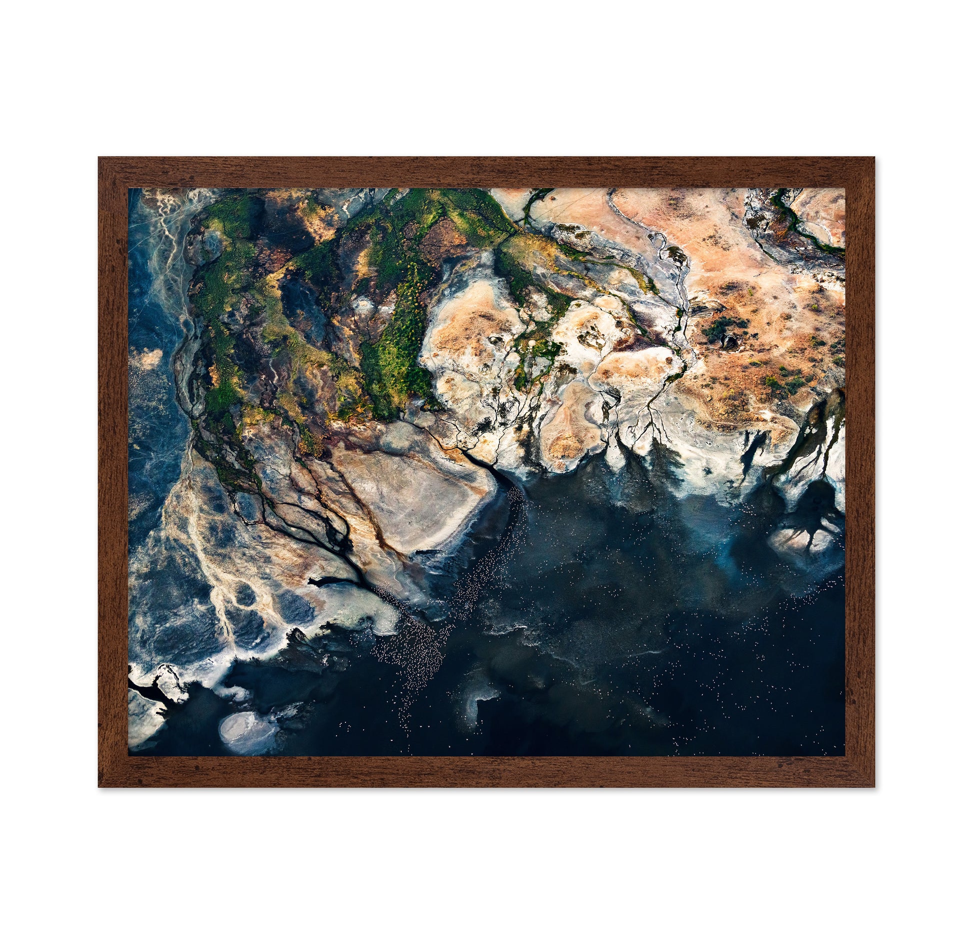 Abstract Coastal Lagoon