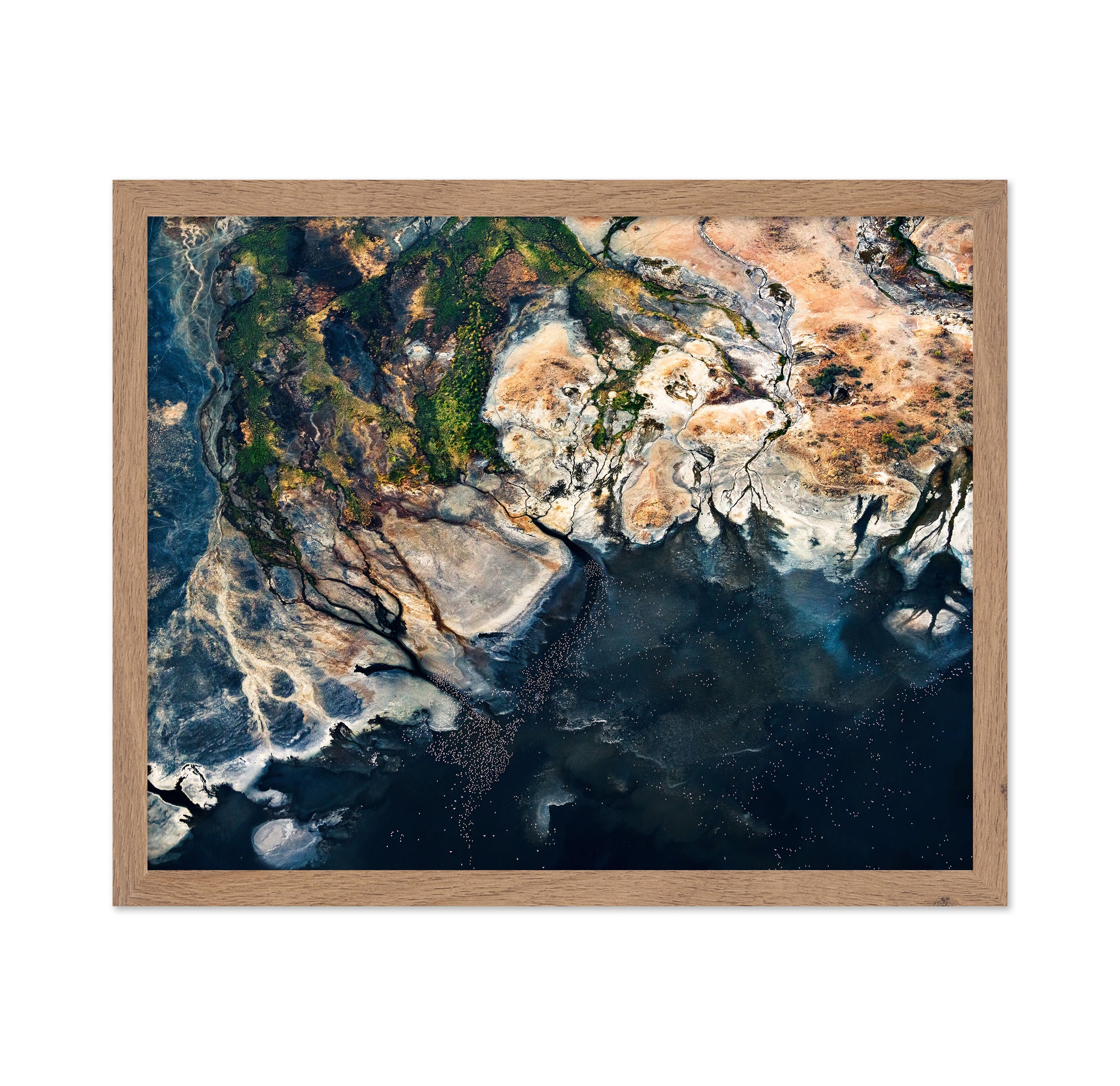 Abstract Coastal Lagoon