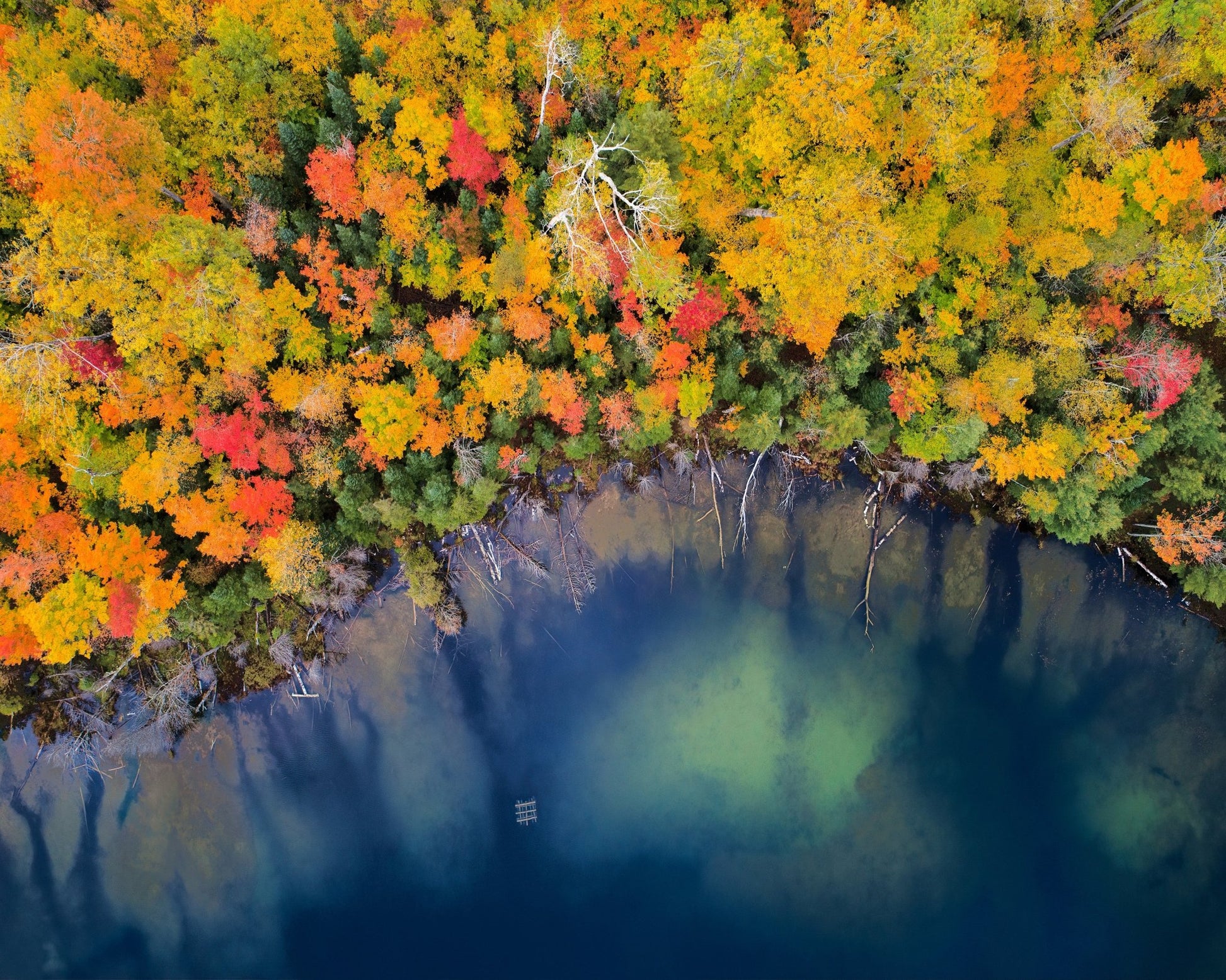 Autumn Pond