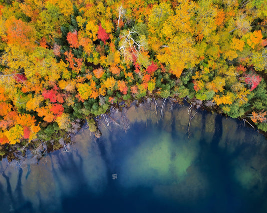 Autumn Pond