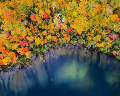 Autumn Pond