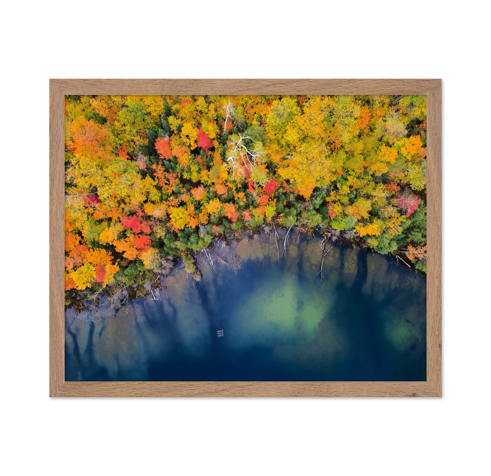 Autumn Pond