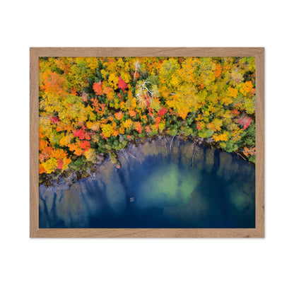 Autumn Pond