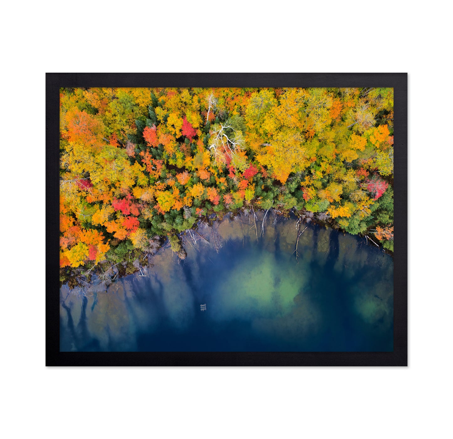 Autumn Pond