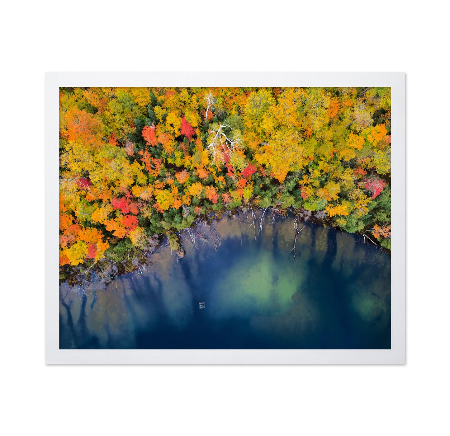 Autumn Pond