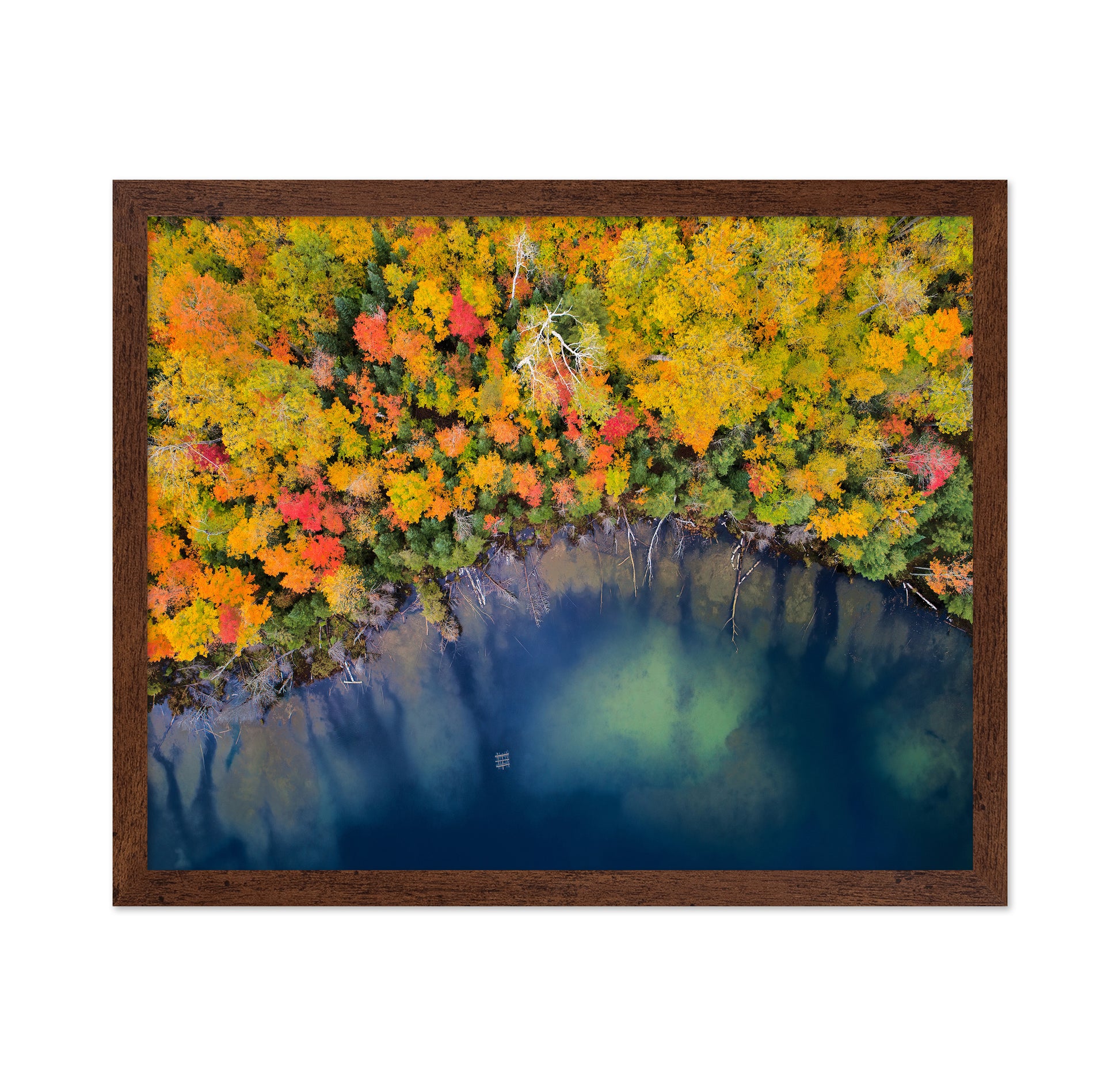 Autumn Pond