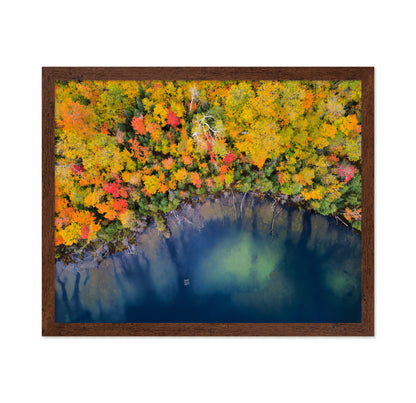 Autumn Pond