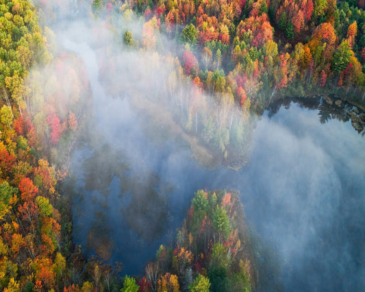Autumn Symphony