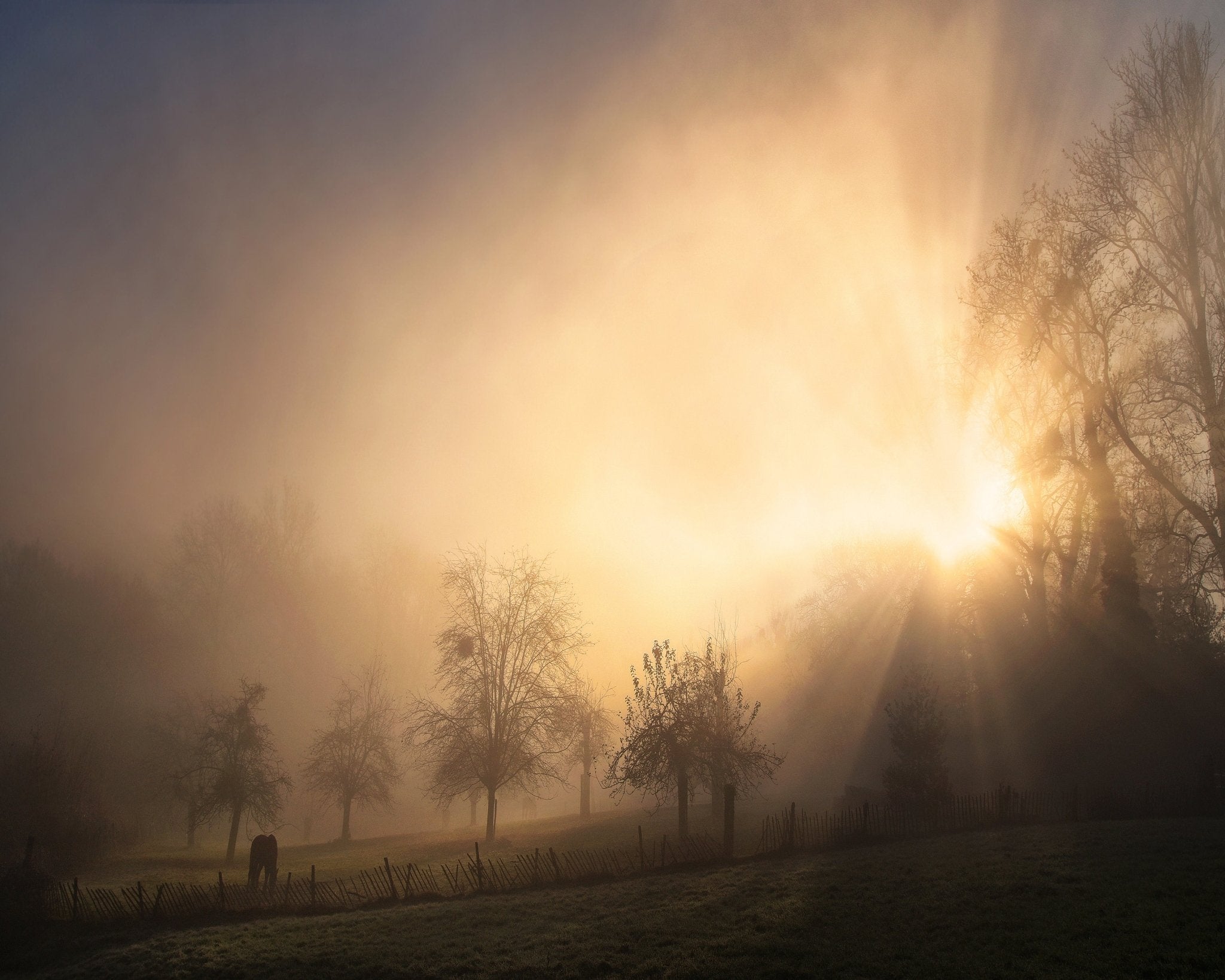 Glorious Morning – Poster Master