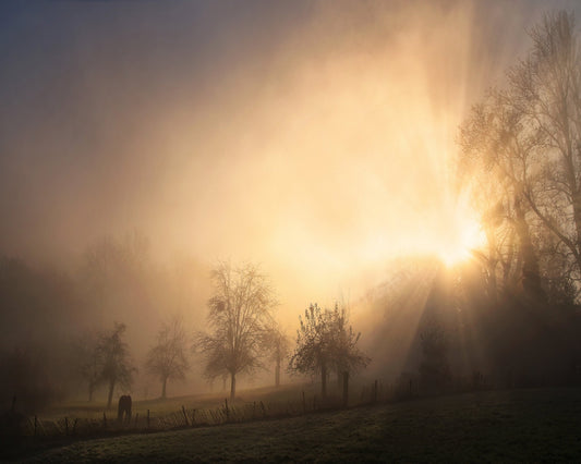 Glorious Morning