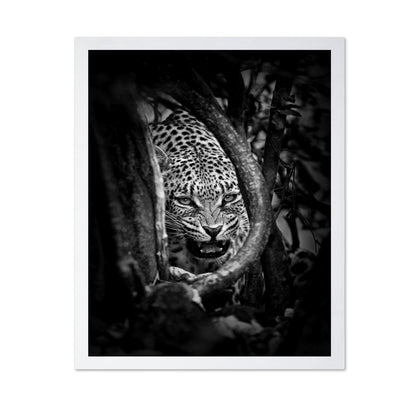 Leopard's Lair