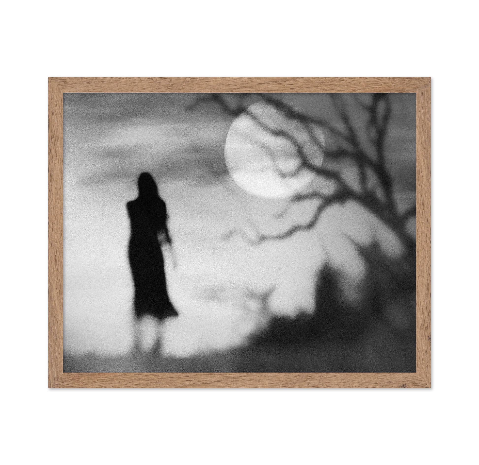 Lonely Gray