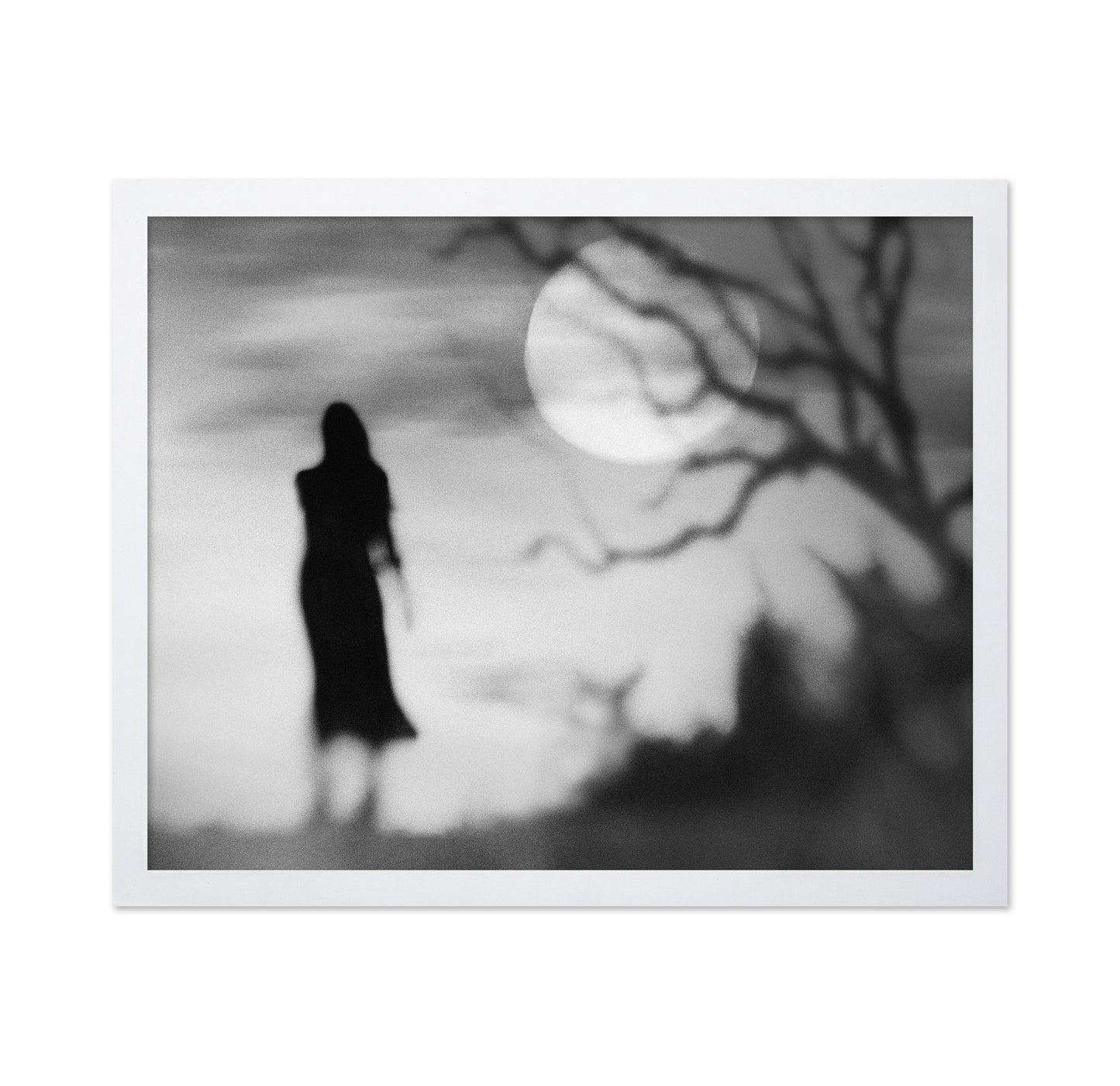 Lonely Gray