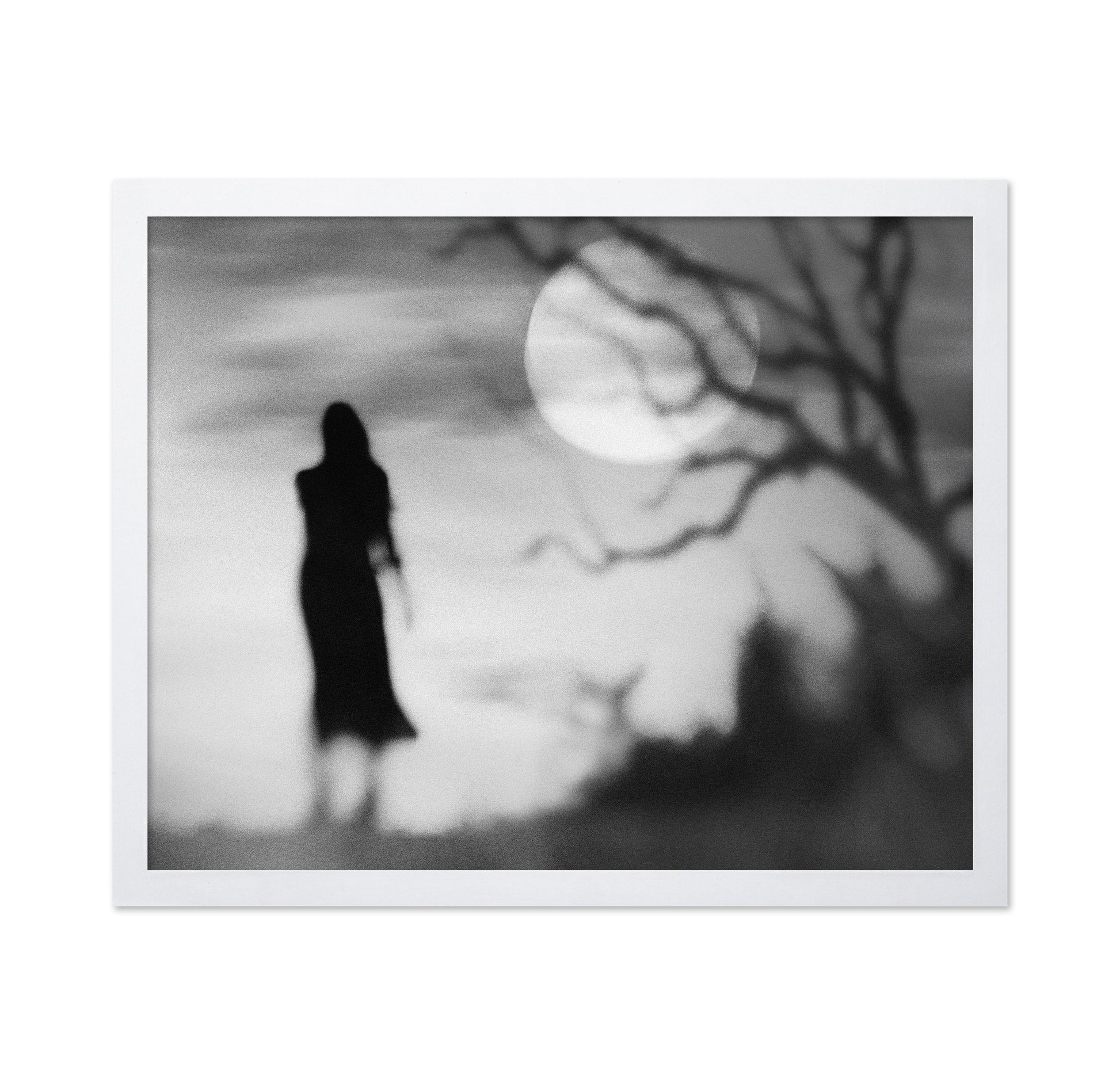 Lonely Gray