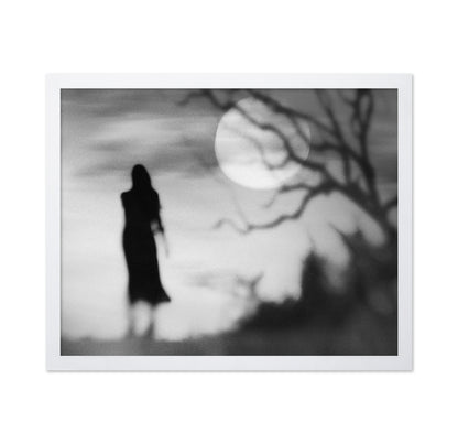 Lonely Gray