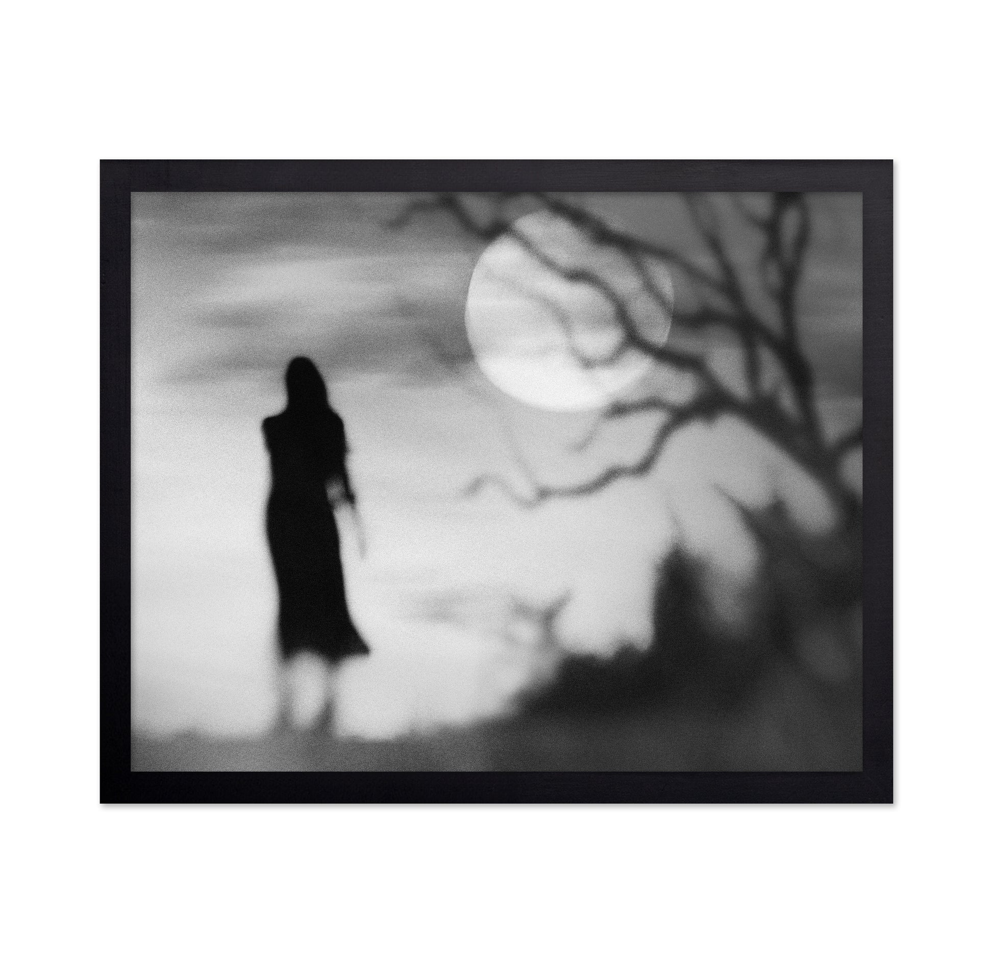 Lonely Gray