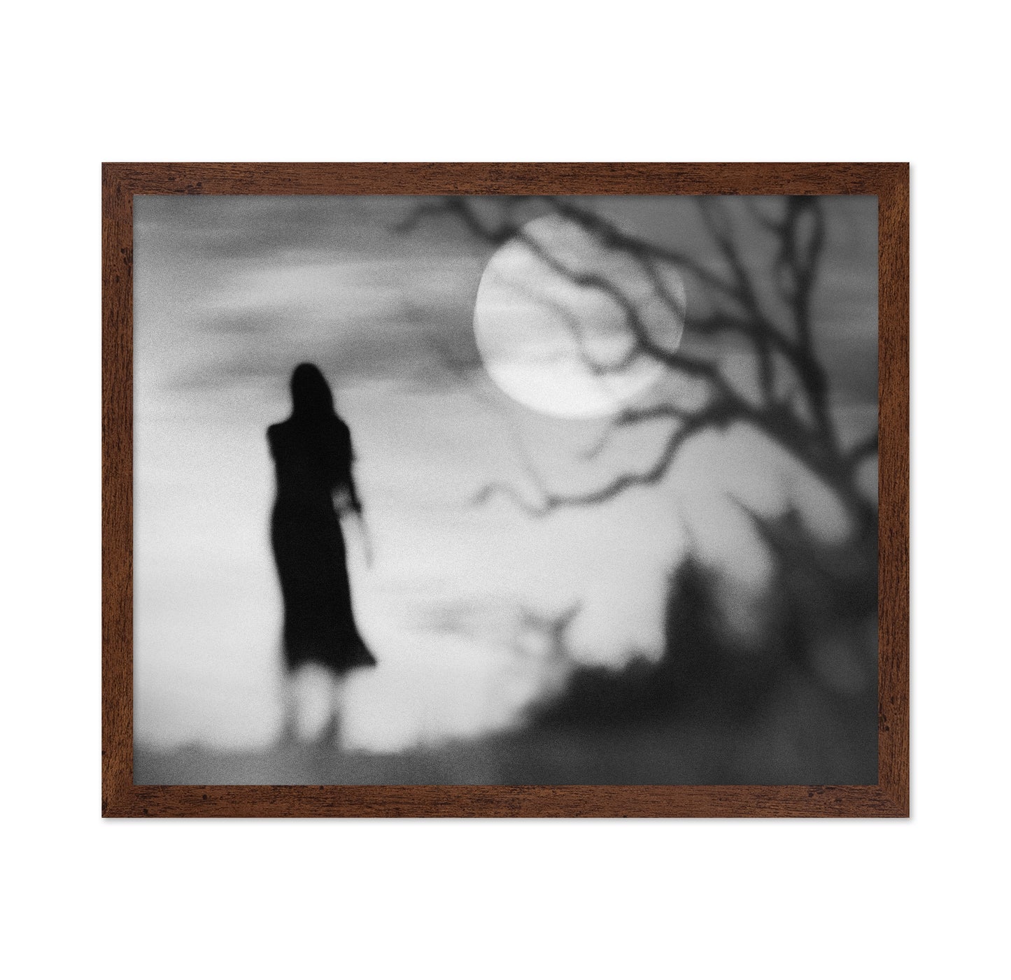 Lonely Gray