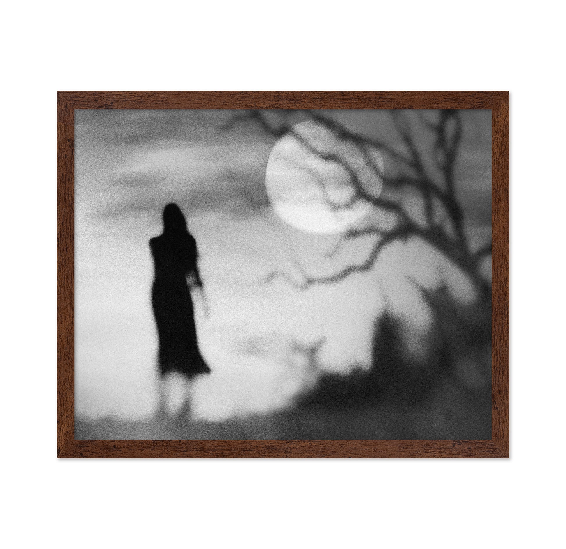 Lonely Gray
