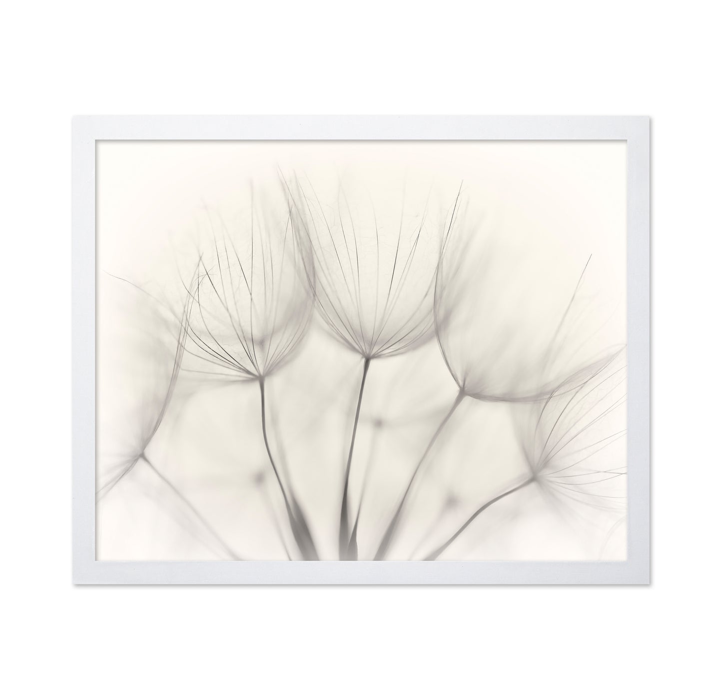 Seedlings