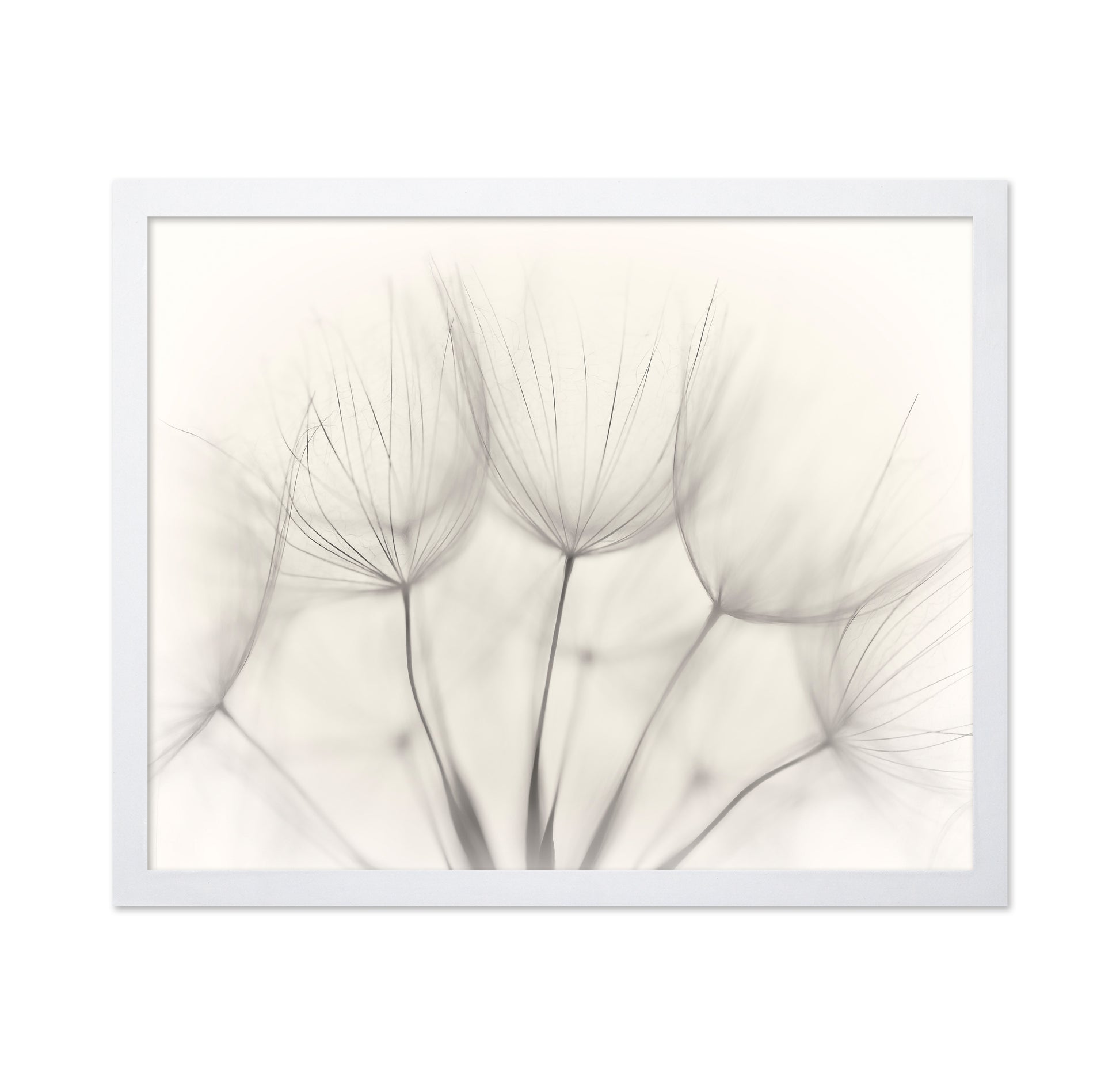 Seedlings
