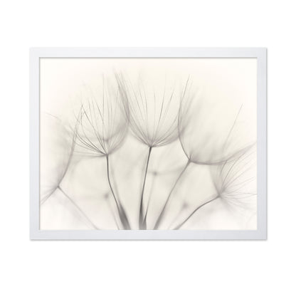 Seedlings