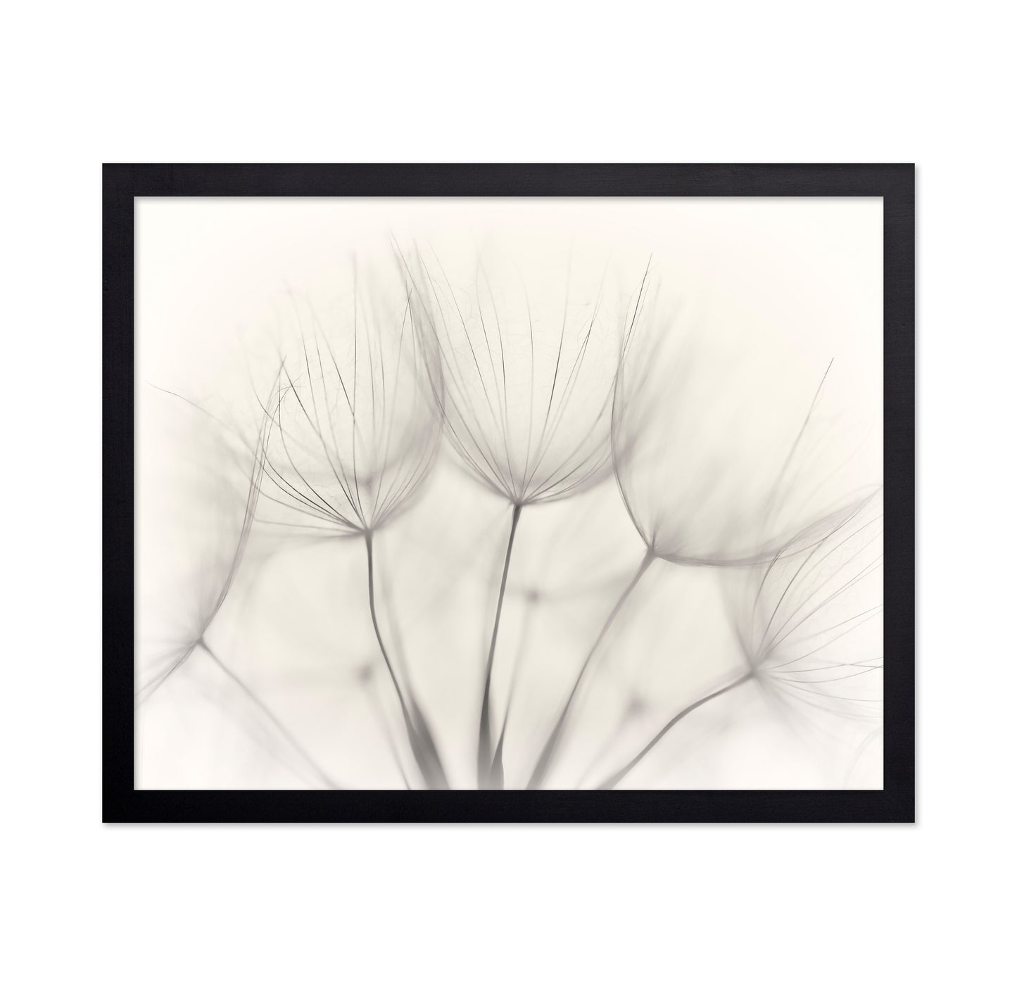 Seedlings