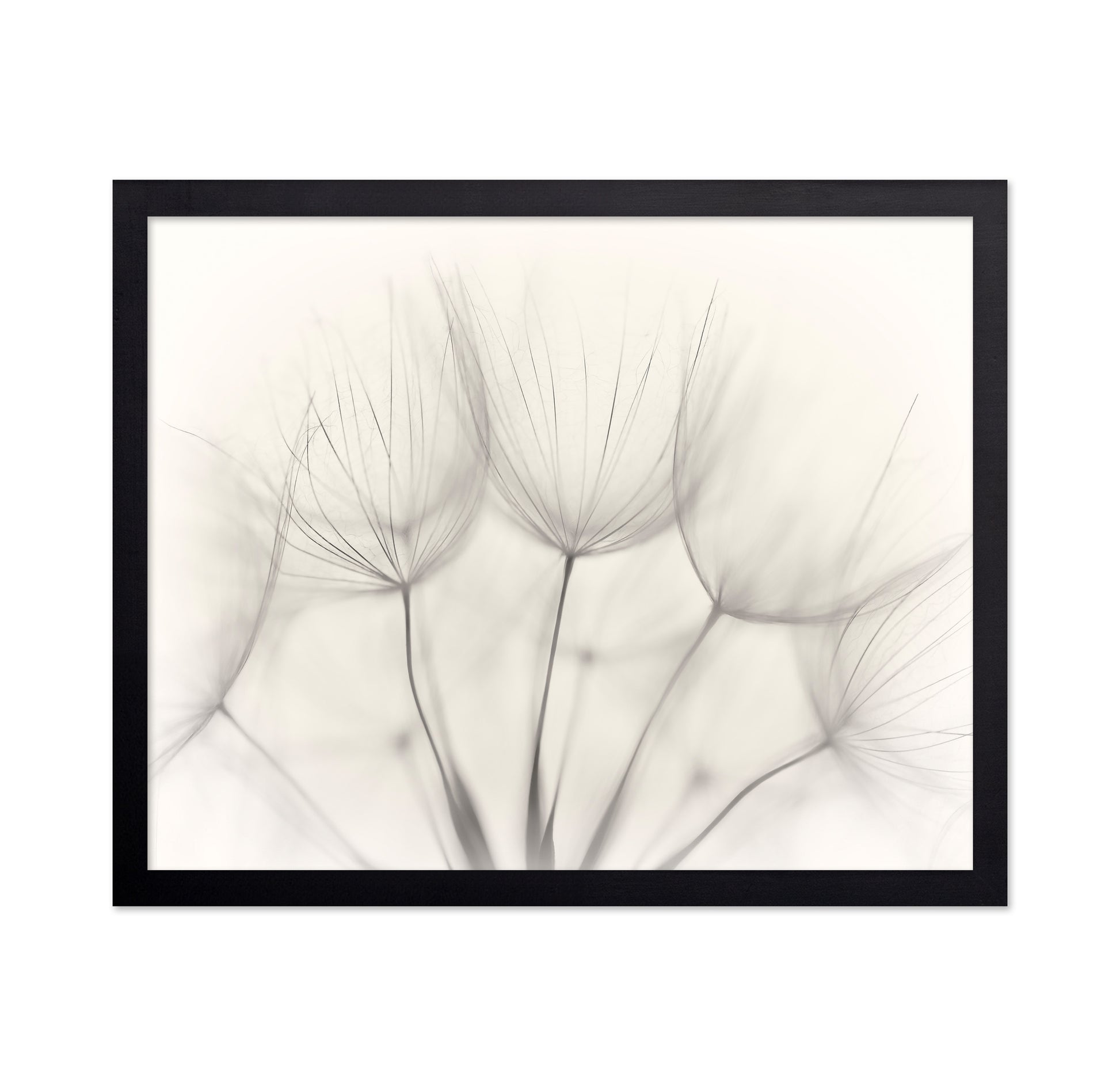 Seedlings