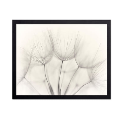 Seedlings