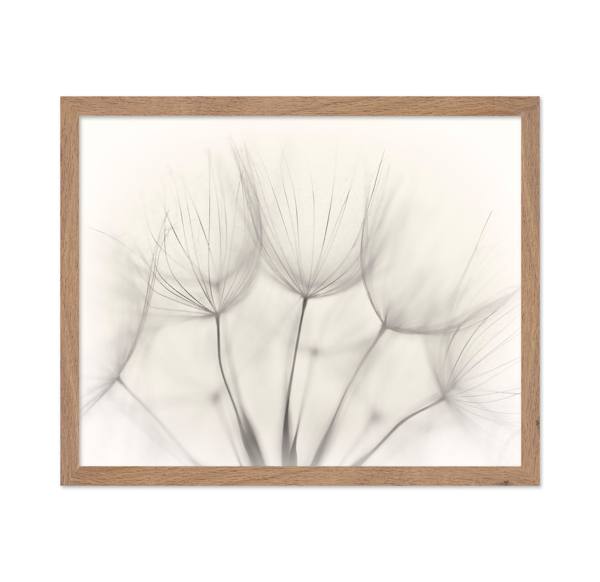 Seedlings