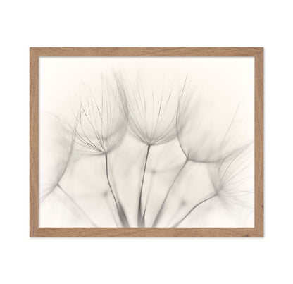 Seedlings