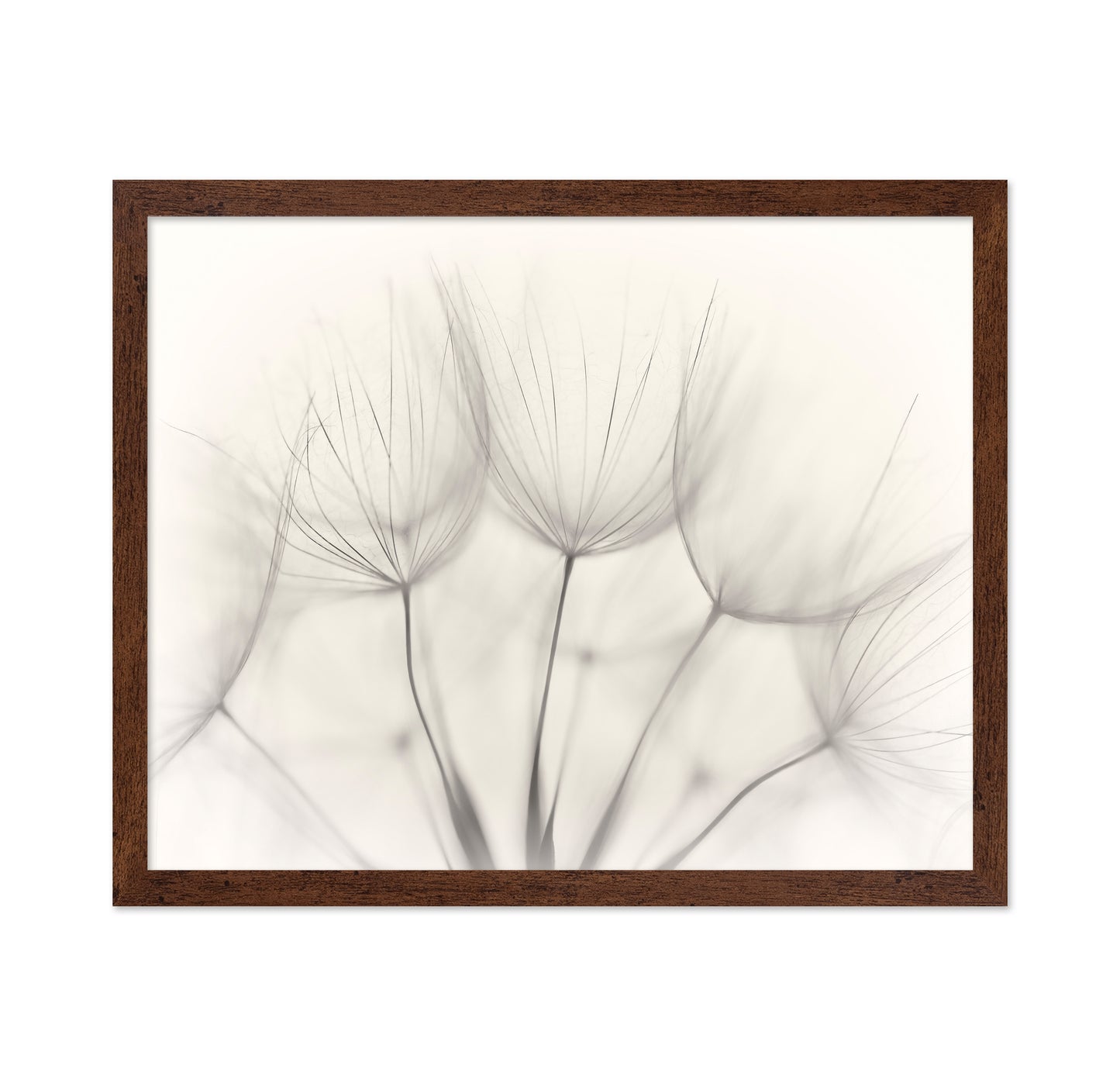 Seedlings