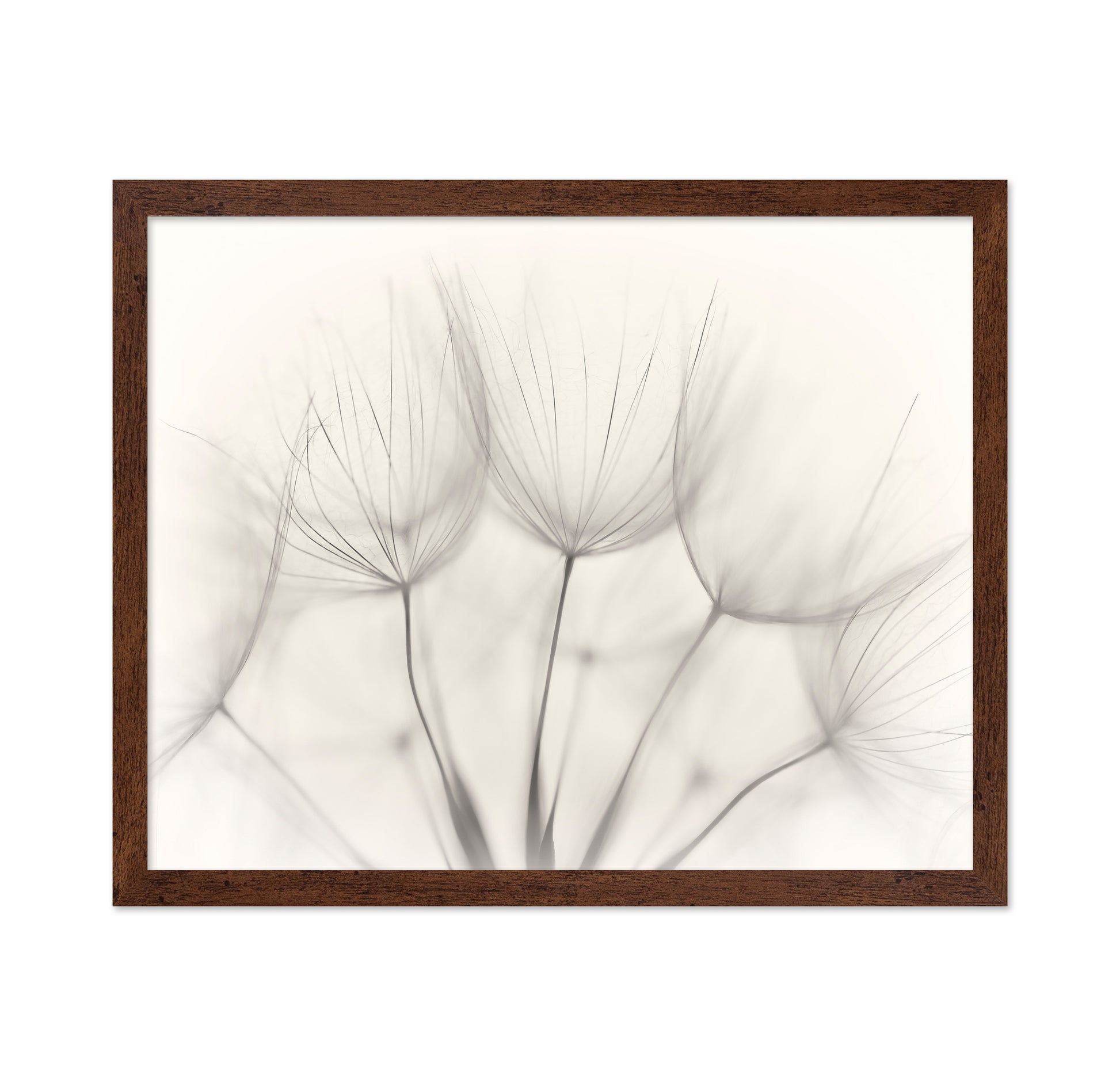 Seedlings