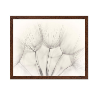 Seedlings