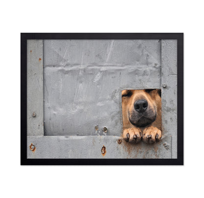 Benji's Window