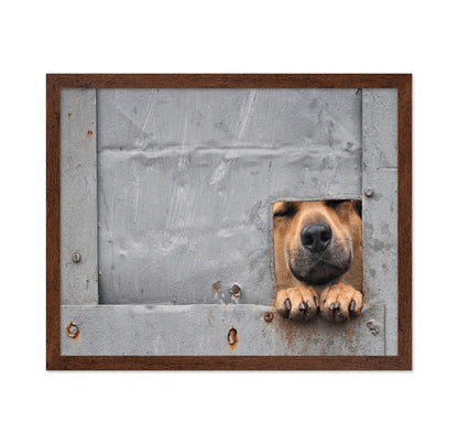 Benji's Window